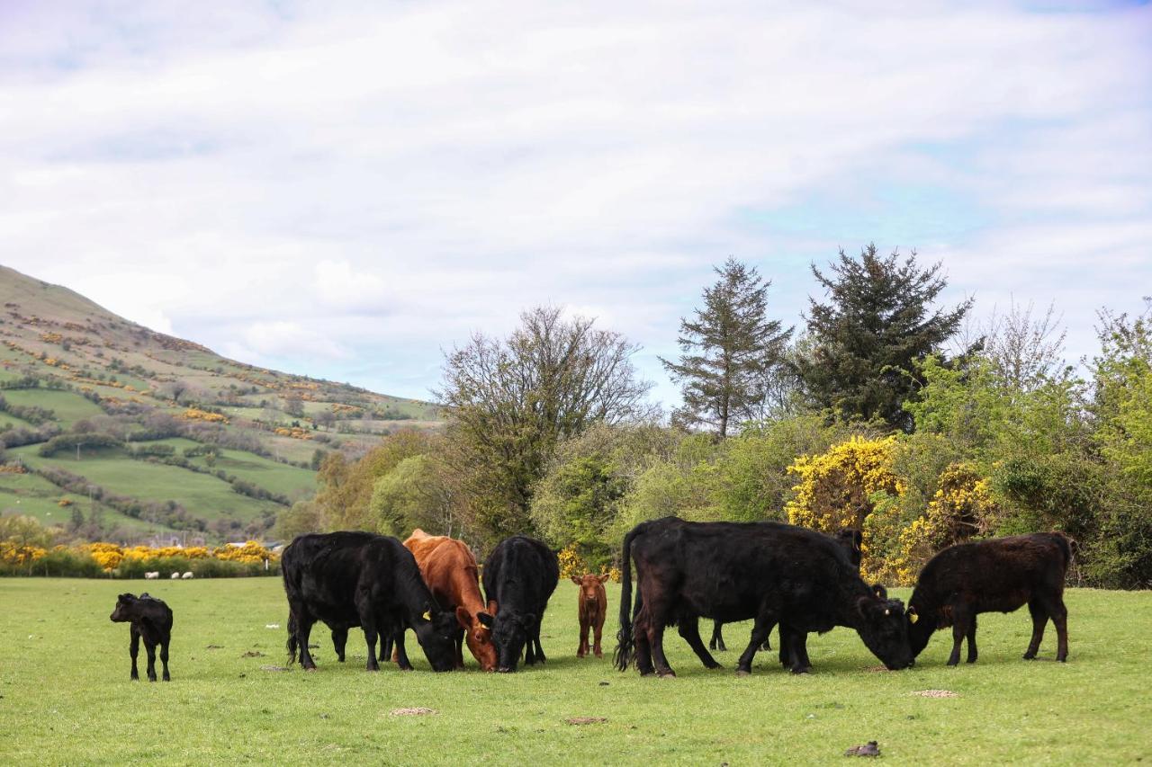 Glenhaven Glenariff